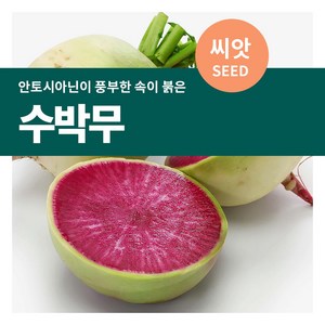 마이플랜트 수박무(과일무) 씨앗 100립, 1개