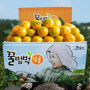 달콤새콤 꿀범벅 타이벡 감귤, 4.5kg 중대과(L or 2L), 1개