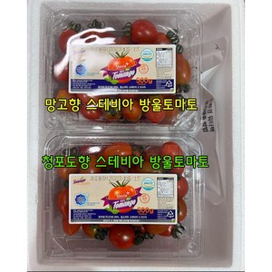 [망고향/청포도향]저당 다이어트용 스테비아 방울토마토, 1박스, 망고향 스테비아 방울토마토1kg