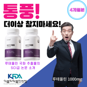 오늘출발] 조이풀 식약청인증 차즈기 추출물 루테올린 1000mg 2개월분, 2박스, 60정
