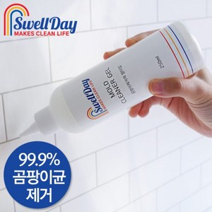 스웰데이 곰팡이제거제 250ml, 1개