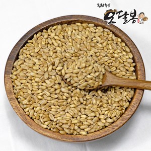 힘찬농부오달봉 국산 통밀, 4kg