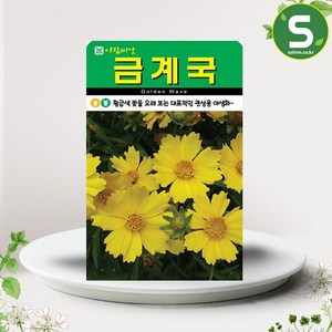 솔림텃밭몰 금계국씨앗 500립 금계국 꽃씨앗 꽃씨 야생화, 1개