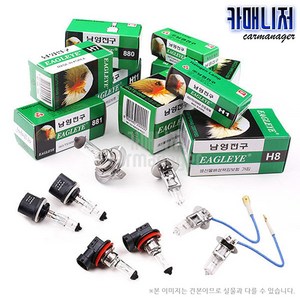 남영 바이오 DH E.X 카포스 자동차용 전구, 1개, H4(24V-100/90W), H4