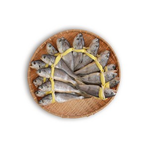 [HACCP] 백순기굴비 가정용 참굴비 20미 세트, 1박스, 참굴비3호 20미 1.4kg