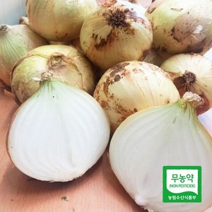 24년 수확한 친환경 무농약 양파 요리용, 2)요리용 3kg, 1개