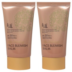 2개)본체청정연 생안 블레미쉬 밤50ml SPF30 PA+++, 2개