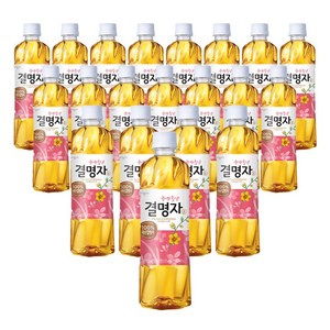 웅진 결명자 500ml 20입, 1개