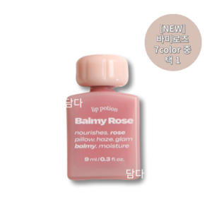 얼터너티브스테레오 립 포션 바미로즈 립틴트, 5호 피치 브륄레, 9ml, 1개