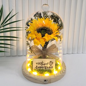 더라임코리아 킹스 해바라기 대형 유리돔 무드등 집들이 이사 개업 창업 승진 퇴사 생일 선물