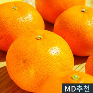 당도선별 고당도 제주 감귤, 1개, 귤 로얄과 5KG(S~2L)