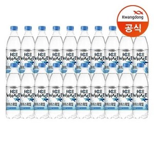 광동 아이스웨일 탄산수 플레인 500ml X 20병, 20개