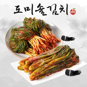 도미솔 맛있는 갓김치 1kg+파김치 1kg(총2kg), 2개, 단일옵션