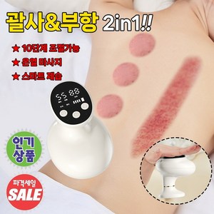 [빅세일!!] 괄사 마사지기 부항 괄사 올인원 경락 마사지기 스마트 진동 목 어깨 바디 제습 다이어트 마사지기, 화이트, 1개