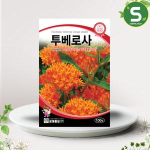 솔림텃밭몰 투베로사씨앗 100립 다년생 투베로사 꽃씨앗 종자, 1개