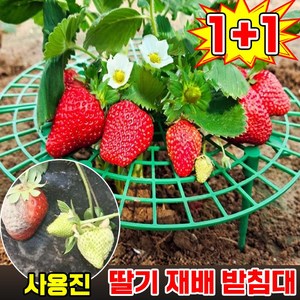 [빠른배송] 딸기 식물 재배 받침대 과일 화분 지지대 발코니 농장 딸기 키우기 트레이 방조망 방습 부패 방지 증산, 2개