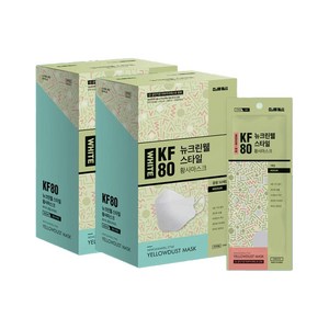 뉴크린웰 스타일 황사마스크 중형 KF80, 50개입, 2개, 화이트