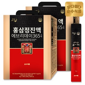 순수식품 홍삼정진액 에브리데이 365 스틱, 10g, 200개