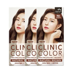 꽃을든남자 크리닉 염색약 일반염색약, N6자연갈색, 3개