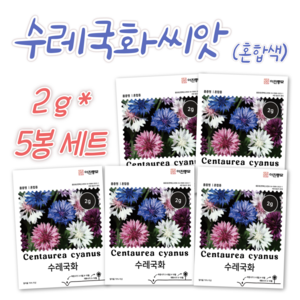 혼합 수레국화 씨앗 2g x 5봉 세트 꽃씨 봄 여름 가을 파종, 5개