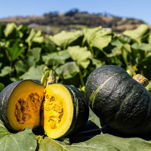 [아이엠신선] 달콤한 단호박 청정지역 특품, 1박스, 5kg (4~6개)