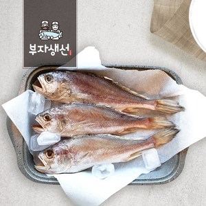 반건조 침조기 반찬용 5마리 30~34cm (망미중앙시장 부자생선), 침조기30~32cm 5마리, 1개