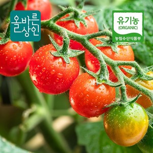 유기농 방울토마토 농장직송, 1개, 1kg 크기혼합