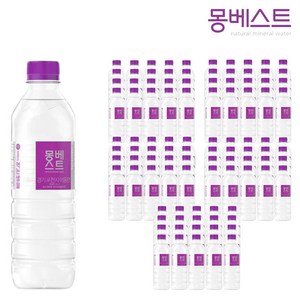 몽베스트 생수, 500ml, 100개