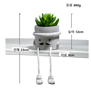 인테리어 표정 조화 화분, 1개, 수염