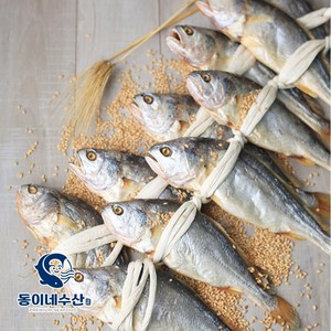 [동이네수산] 진짜 영광법성포 부세 보리굴비 10미 / 대 / 특 / 특대, 1개, 28~30/특