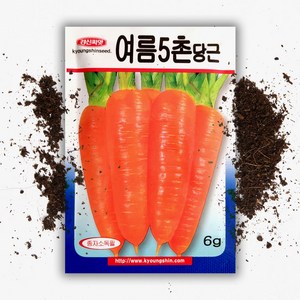 여름재배 당근씨 (6g) 수확량많은 씨앗 종자, 1개