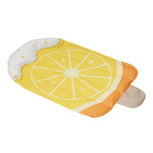 텔리 반려동물 아이스 쿨링 쿨매트, 감귤