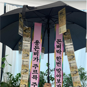 부모님 생신 환갑 칠순 어비이날 반전 돈벼락 용돈 이색 용돈박스 우산 화환 서프라이즈 현금선물, 3.랜덤버전