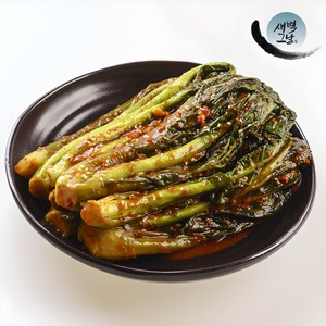 새벽에 만들어 그날 출발하는 새벽그날 갓김치, 1개, 2kg