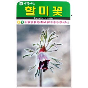 할미꽃 50립 꽃씨앗 허브씨앗 민속씨앗 아람종묘 23년, 1개