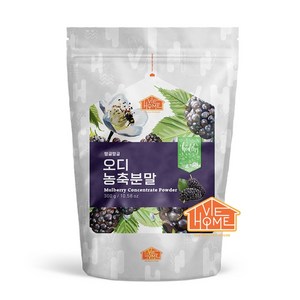 건강한우리집비옴 탱글탱글 오디 농축 분말, 300g, 1개