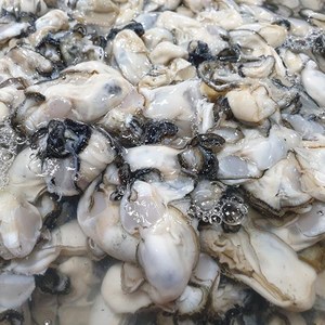 천광수산 제철 통영 생굴1kg(실중량800g내외가열조리용), 1개