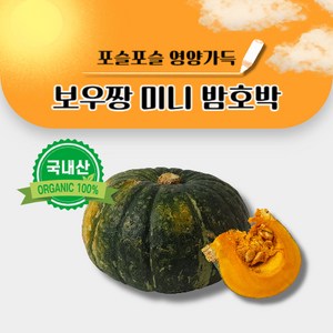 산지직송 해풍 맞고 자란 제주 미니 단호박, 1개, 2kg(3-9과 내외 /실중량 1.8kg)