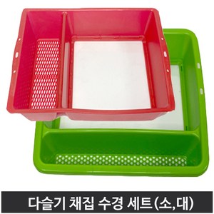 다슬기 올갱이 채집 수경 세트 소 대 민물 계곡 휴가 물놀이 바다 색상랜덤, 1개