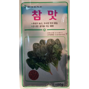 남해시금치 씨앗 종자 참맛시금치 100g 고당도 대용량, 1개