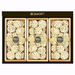 [표고아빠]참나무 국산 표고버섯 선물세트[자연1호](부직가방), 1세트