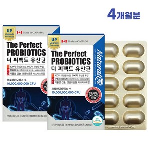 더 퍼팩트 유산균 60캡슐 100억 프로바이오틱스 프리바이오틱스 캡슐 알약 타입 캐나다 직수입 퍼펙트 장건강, 2개
