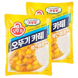 오뚜기 카레 과립형 약간매운맛, 1kg, 2개