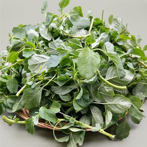 [형제나물] 국내산 프리미엄 선별 생 비름나물, 1개, 1kg