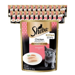 쉬바 고양이 키튼 닭고기 무스, 닭, 70g, 24개