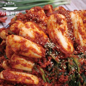 총각김치 1kg 100% 국내산 가람반찬 알타리김치 전라남도김치 국산알타리 태양초, 보통매운 맛, 총각김치(알타리)1kg, 1개