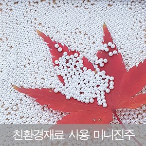 고광택 구멍없는 미니 무공원형진주1.5 2 2.5 3 3.5 4mm 악세사리부자재 네일아트 수공예재료 비즈 구슬 진주알, 2mm, 진주색, 1개