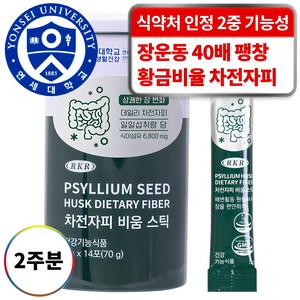 연세생활건강 RKR 진짜 맛있는 식이섬유 6800mg 차전자피 비움 스틱, 14회분, 1개