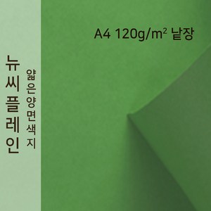 뉴씨플레인 종이문화 얇은 양면색지 120g A4 낱장 1매 No.60 초록, 1장