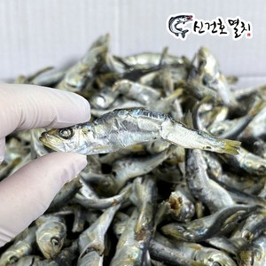 남해안 햇 국물용 청어 솔치(정어리) 상급 500g 1kg 1.5kg (육수 멸치), 1개